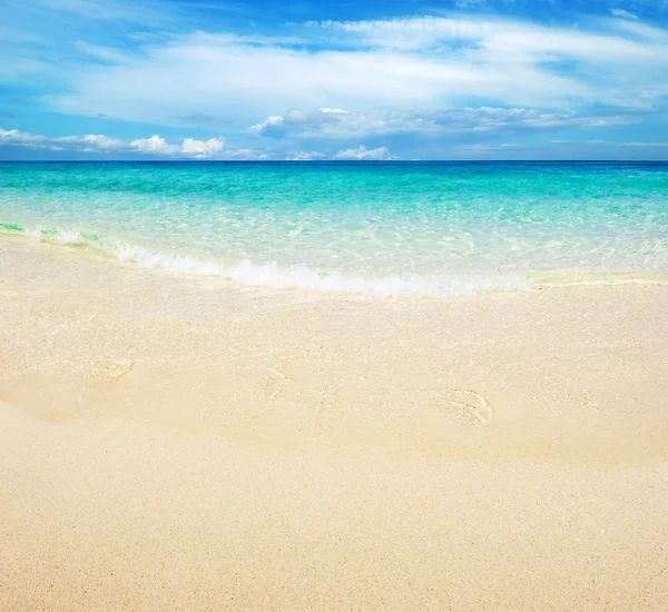 Tropiska havet — Stockfoto