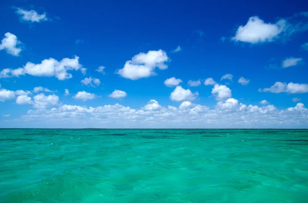 Tropická pláž — Stock fotografie