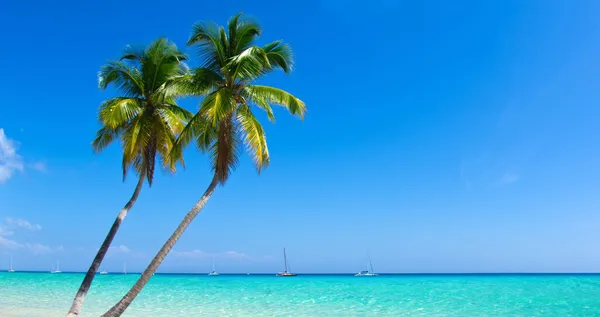 Tropical sea — Stock Photo, Image