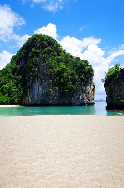 Krabi denizde — Stok fotoğraf