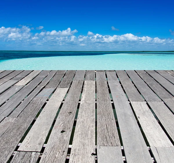 plaj ve tropikal deniz