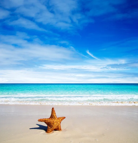 Praia e mar tropical — Fotografia de Stock