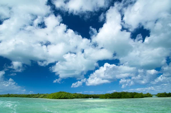 Caribische duidelijk strand en tropische zee — Stockfoto