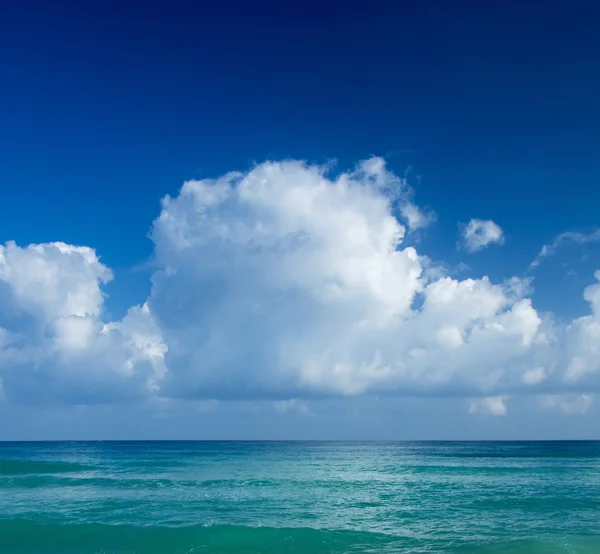 Caribe praia clara — Fotografia de Stock