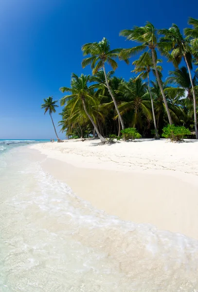 Sea beach — Stock Photo, Image