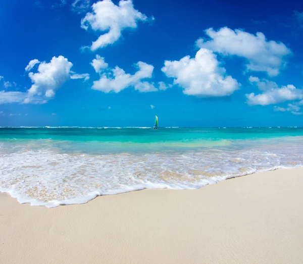 Playa del mar Caribe —  Fotos de Stock