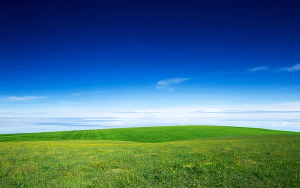 Campo verde — Fotografia de Stock