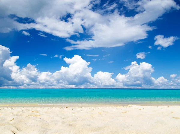 Красивый пляж и тропическое море — стоковое фото
