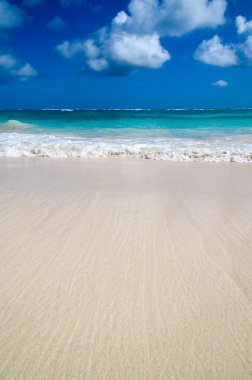 Karayipler beach arka plan