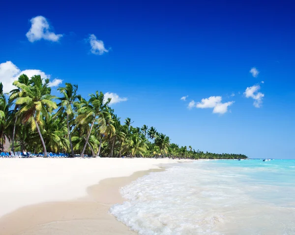 Strand med palmer — Stockfoto