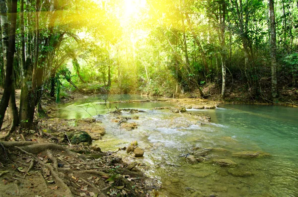 Stream in forest — Stock Photo, Image