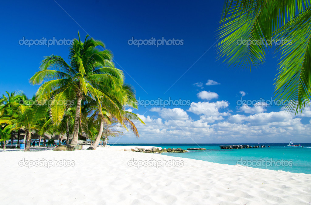 Tropical Blue Beach