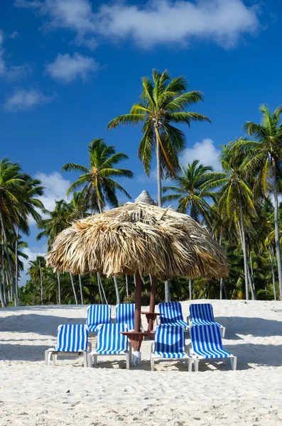 Beach — Stock Photo, Image