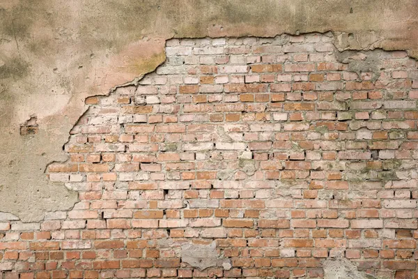 Brick wall — Stock Photo, Image