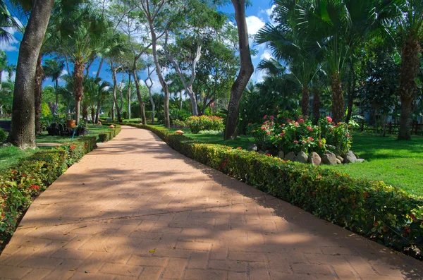 Jardín — Foto de Stock