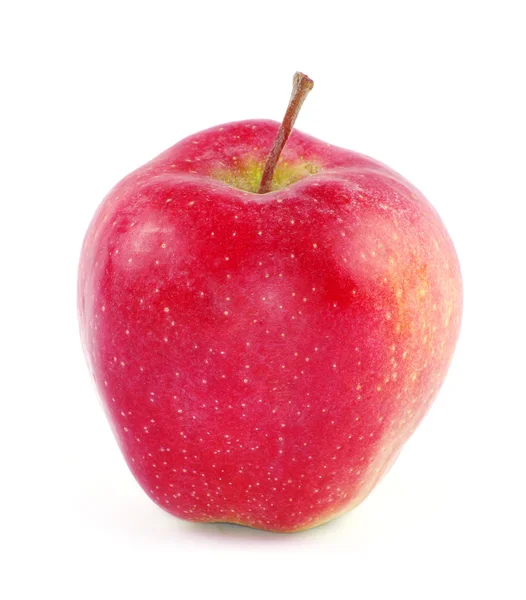 Roter Apfel — Stockfoto