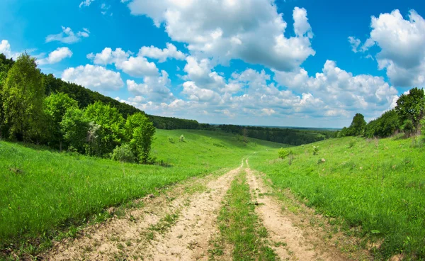 Campo — Fotografia de Stock