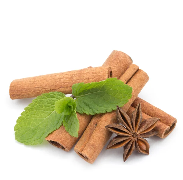 Anise and cinnamon — Stock Photo, Image