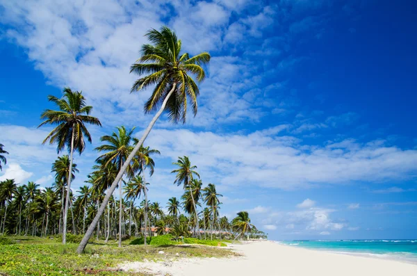 Meeresstrand. — Stockfoto