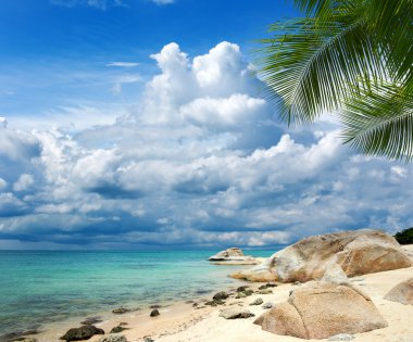 Deniz 