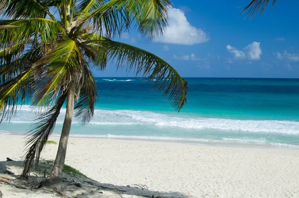 Bella spiaggia e mare tropicale — Foto Stock