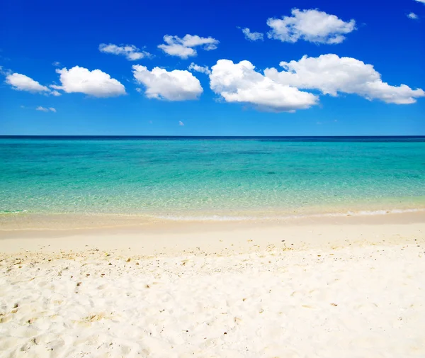 Tropiska havet — Stockfoto