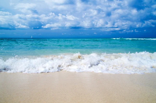 Tropical sea — Stock Photo, Image