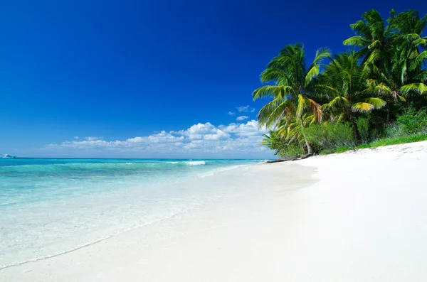 Tropical sea — Stock Photo, Image