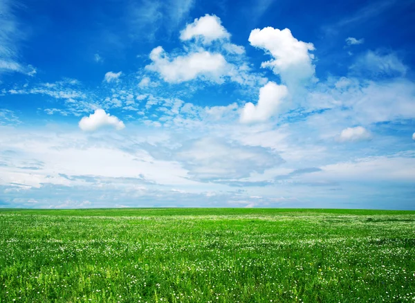 Campo con cielo azul — Foto de Stock