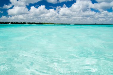 Açık Caribbean beach