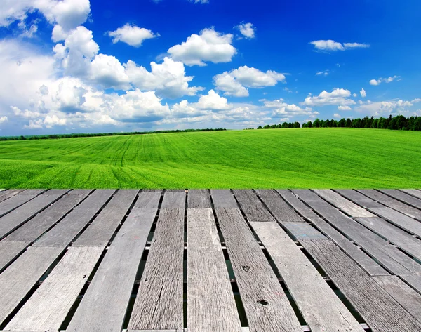 Campo verde — Fotografia de Stock