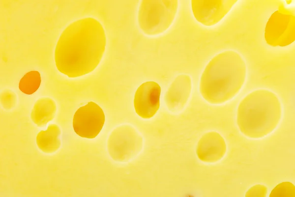 Bloque grande de queso — Foto de Stock