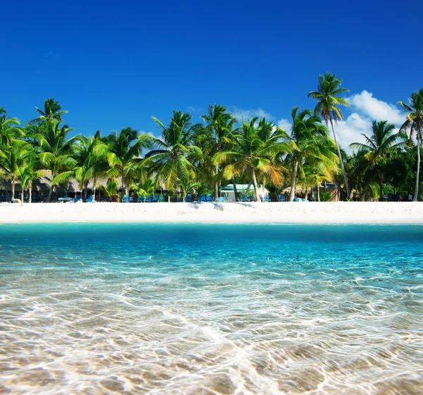 Tropical beach — Stock Photo, Image