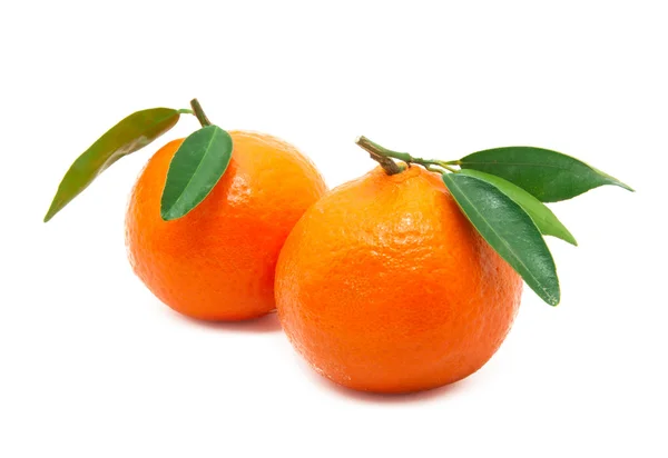 Mandarina fresca — Fotografia de Stock