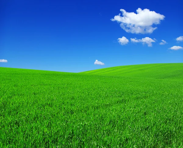 Field on a background — Stock Photo, Image