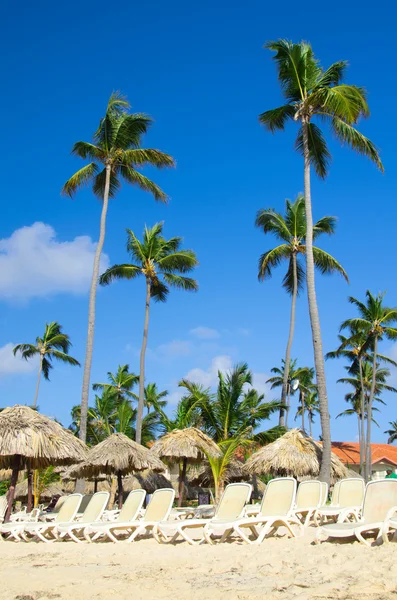 Caribbean Beach — Stock Photo, Image