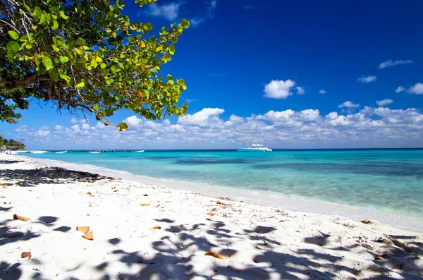 Tropiska havet — Stockfoto