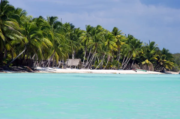 Tropiska havet — Stockfoto