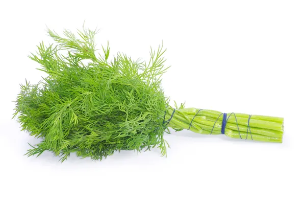 Branch of dill — Stock Photo, Image