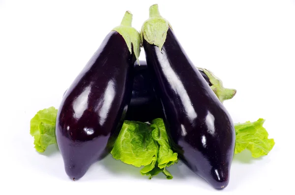 Verse aubergine — Stockfoto