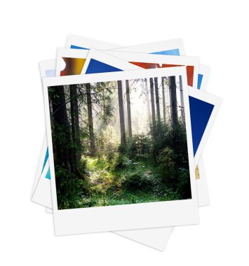 anlık fotoğraf