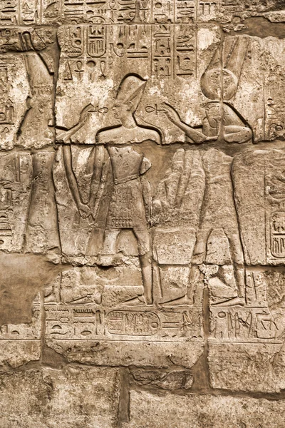 Hieroglyphen der Pharaonenkultur — Stockfoto