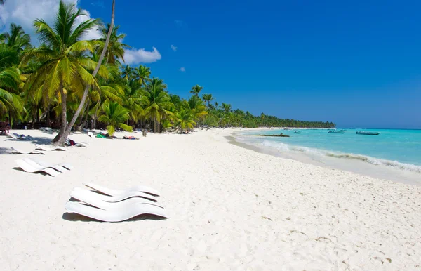 Tropical beach — Stock Photo, Image