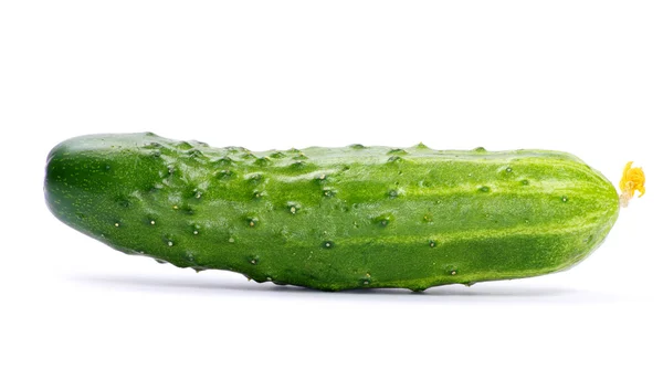 Fresh cucumber — Stock Photo, Image