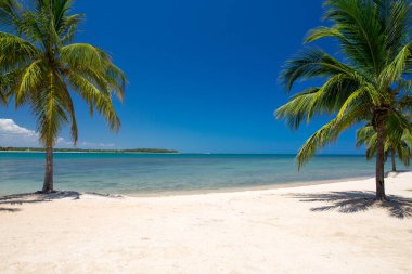 Güzel sahil ve tropikal deniz