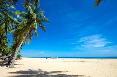 Sri Lanka 'da tropik bir sahil. Turizm için yaz tatili ve tatil kavramı.