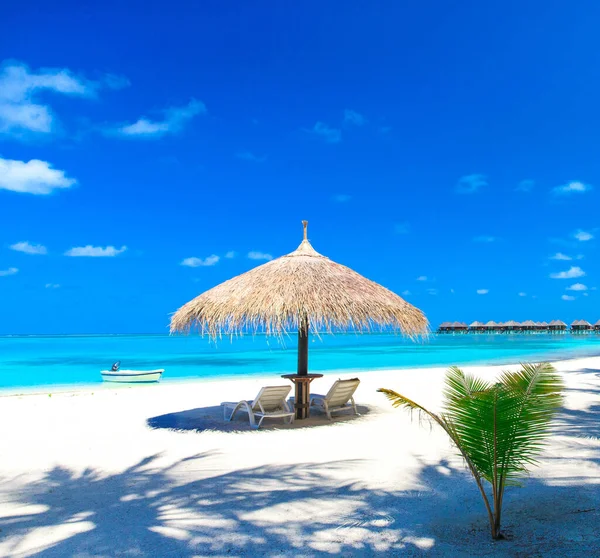 Bílý Tropická Pláž Maledivách Několika Palmami Modrá Laguna — Stock fotografie