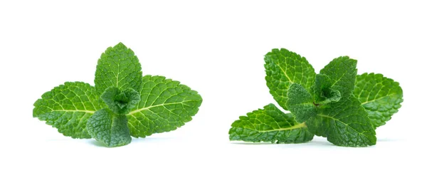 Hojas Frescas Menta Verde Aisladas Sobre Fondo Blanco Vista Superior —  Fotos de Stock