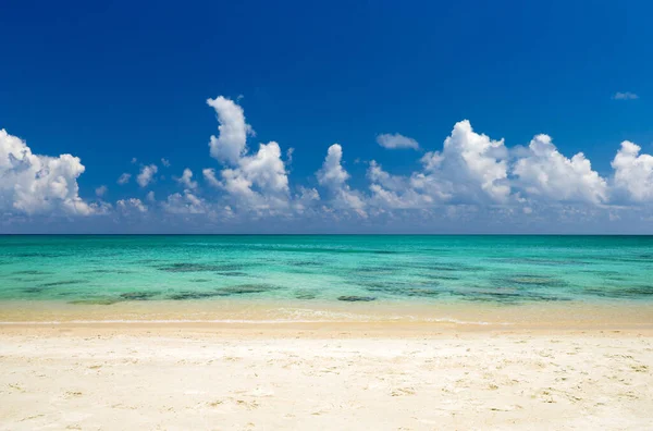 斯里兰卡的热带海滩 暑假和旅游度假概念 — 图库照片