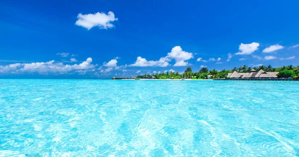 Tropisch Strand Malediven Met Weinig Palmbomen Blauwe Lagune — Stockfoto